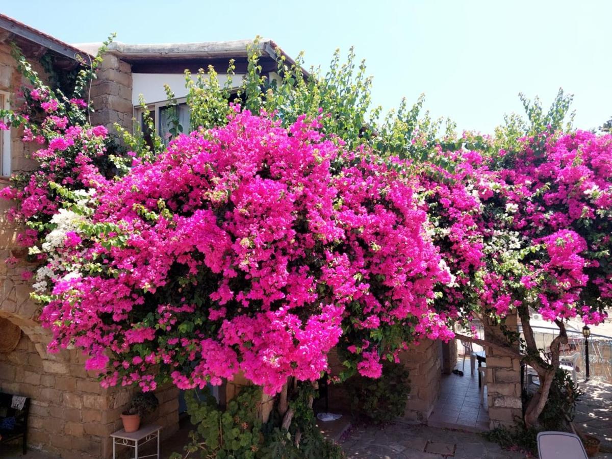 Cyprus Villages Hotel & Restaurant - Central Location - Bed & Breakfast - With Access To Pool And Stunning Views Tochni Exterior photo