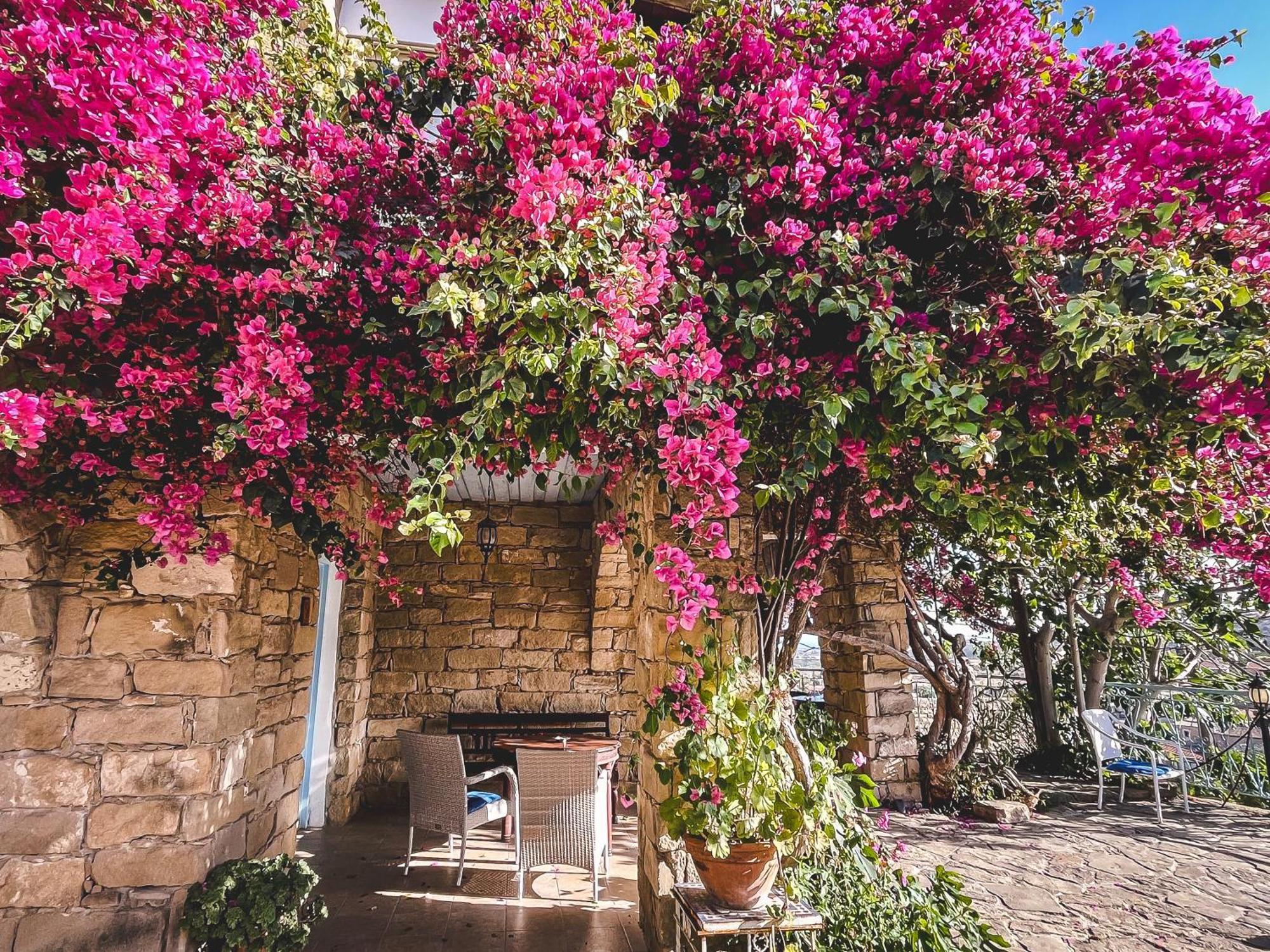 Cyprus Villages Hotel & Restaurant - Central Location - Bed & Breakfast - With Access To Pool And Stunning Views Tochni Exterior photo
